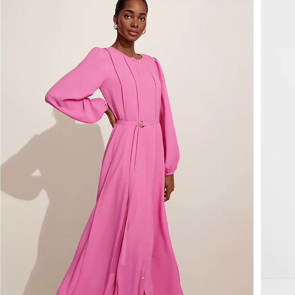 Ann Taylor Paneled Belted Shirt Dress